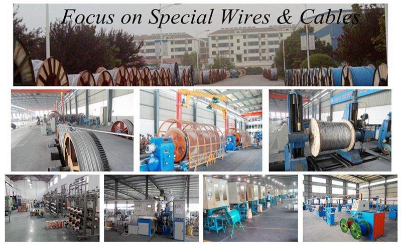 cable manufacturer