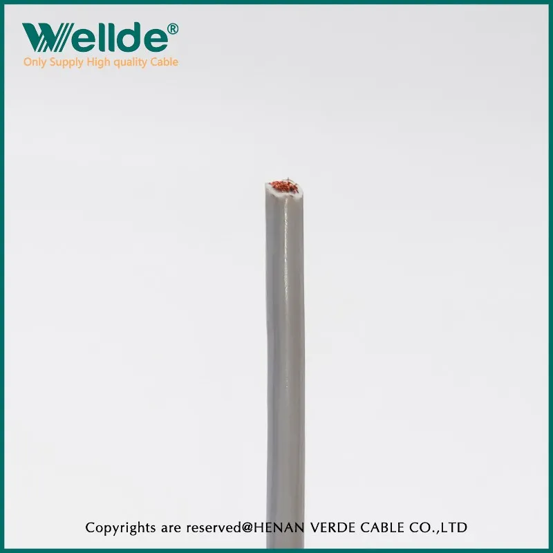 IMG20231204144948 IMG20231204144948