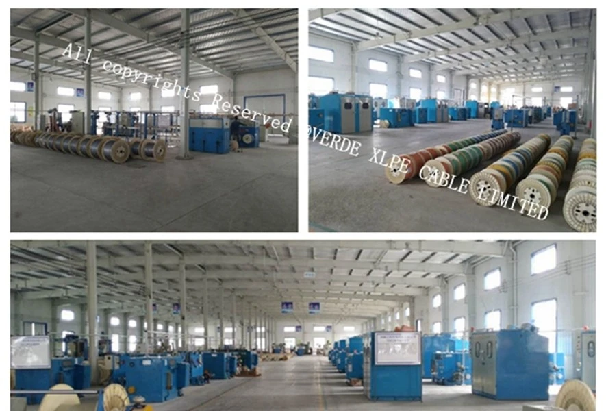 product-885-600